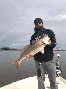 Reds are reeling in Lake Charles